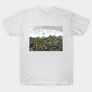 Sea and stones T-Shirt